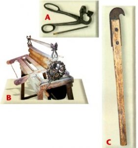 WHAT-IS-IT? Image